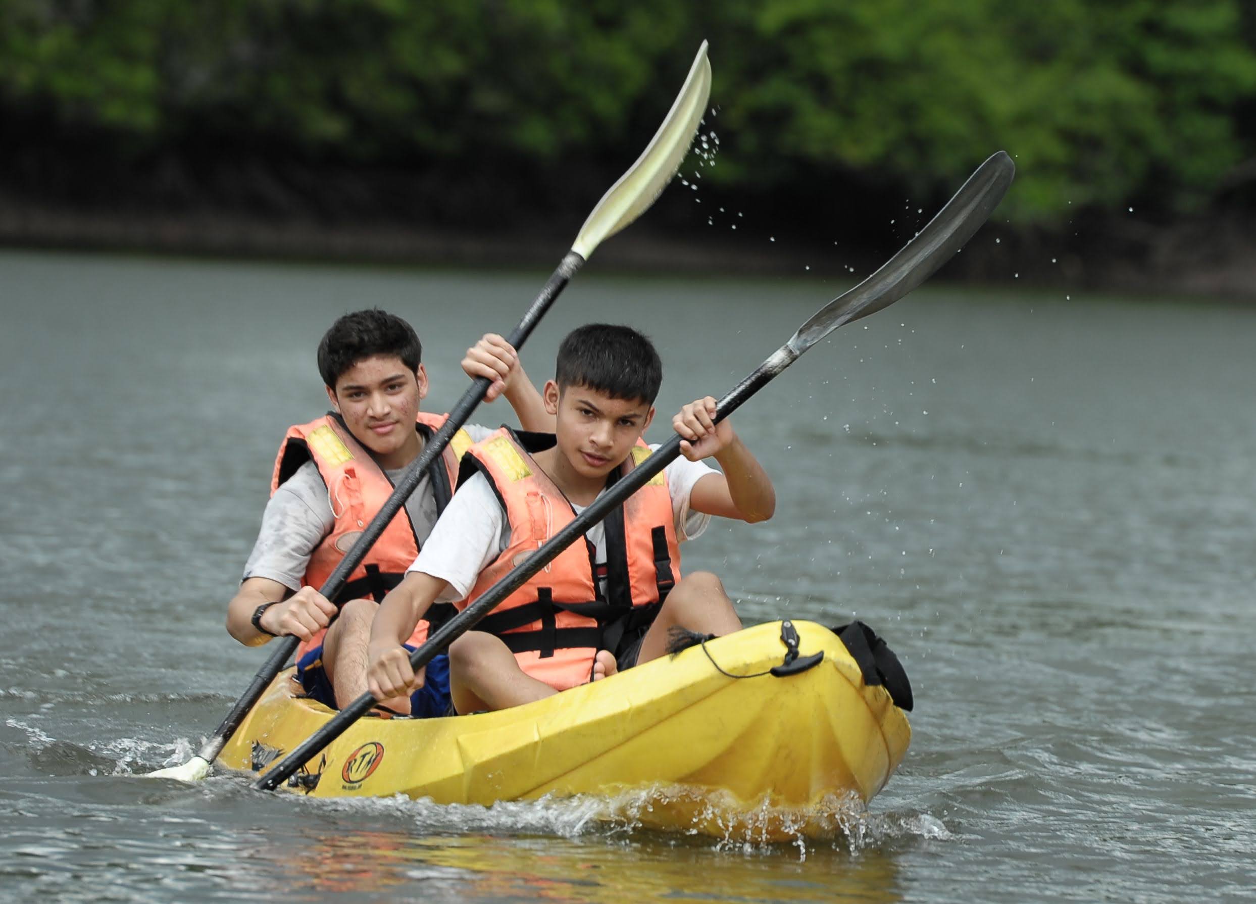 Mangrove Kayak Exploration