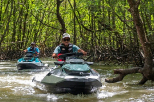 Mangrove Jet Ski Tour
