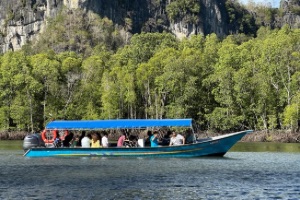 Private Mangrove Boat Tour
